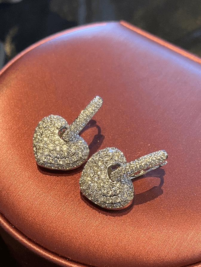 Naomi CZ Elegant Earrings (Silvertone & Gold)